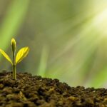 Boosting Efficiency: Harnessing Productivity Strategies for Optimal Success